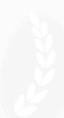 laurel